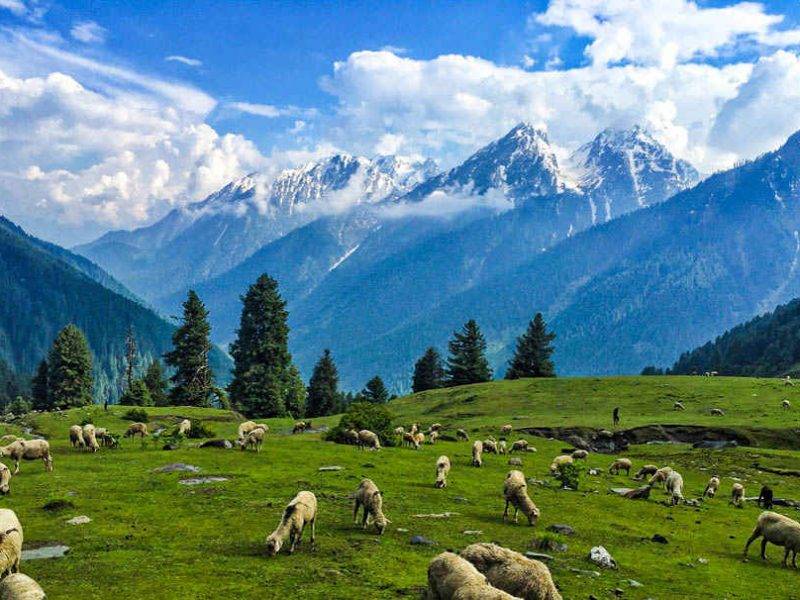 Best Offbeat Places To Visit In Kashmir dard shin travels