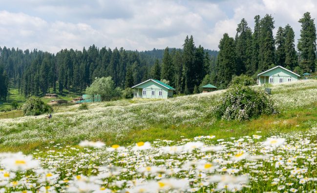 Kashmir Valley's top travel website