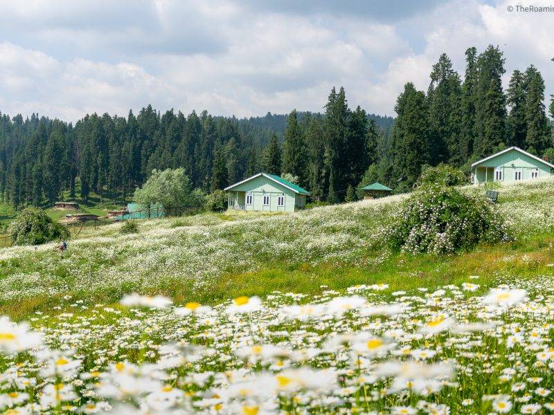 Offbeat Places To Visit In Kashmir Dard Shin Travels