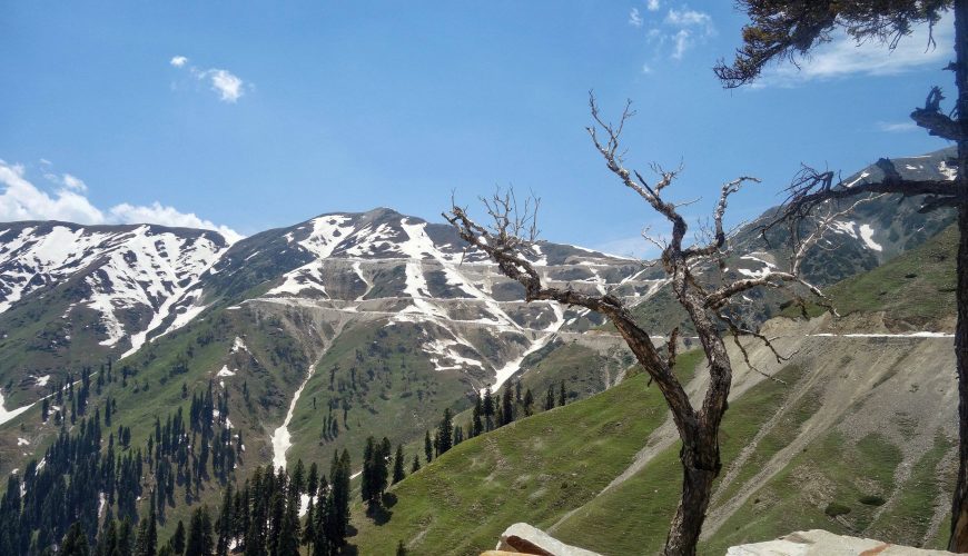 sinthan top DARD SHIN TRAVELS