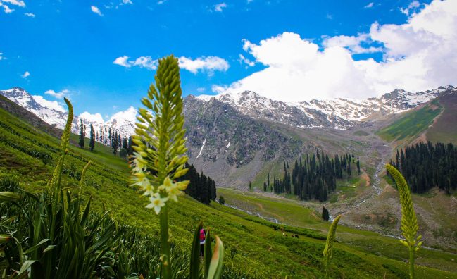 Kashmir Valley's top travel website