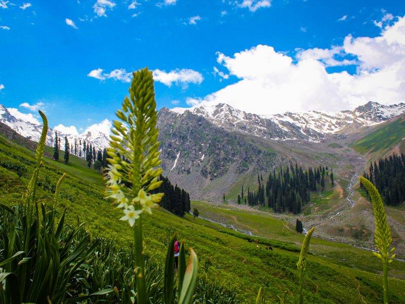Kashmir Valley's top travel website